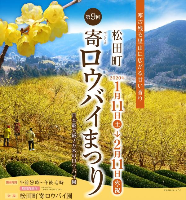 松田町『寄ロウバイまつり』日本最大級２万本のロウバイ園！里山に広がる甘い香り
