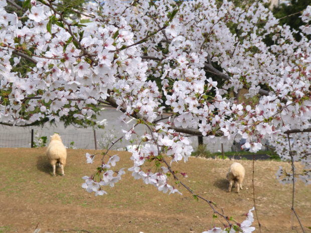 感動の絶景に出会える!アクティブな弘法山ハイキングコース 感動の絶景に出会える!アクティブな弘法山ハイキングコース