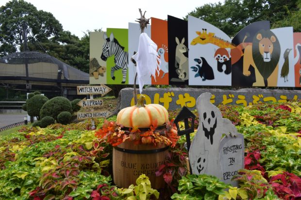野毛山動物園でハロウィン限定オリジナルキャンディーをもらおう!10月は無休で開園【横浜市西区】 野毛山動物園でハロウィン限定オリジナルキャンディーをもらおう!10月は無休で開園【横浜市西区】