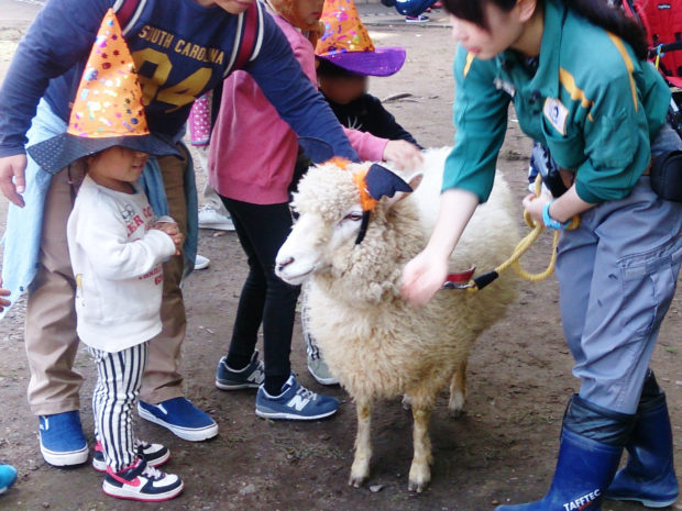 ハロウィンは金沢動物園へ仮装してGO!!動物たちと一緒にパレードも!【横浜市金沢区】 ハロウィンは金沢動物園へ仮装してGO!!動物たちと一緒にパレードも!【横浜市金沢区】