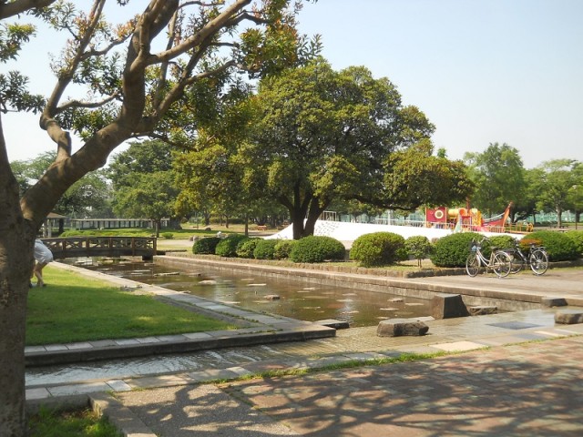 【6月10日】川崎市の大師公園のカナール（水路）でささ舟を作って遊ぼう！