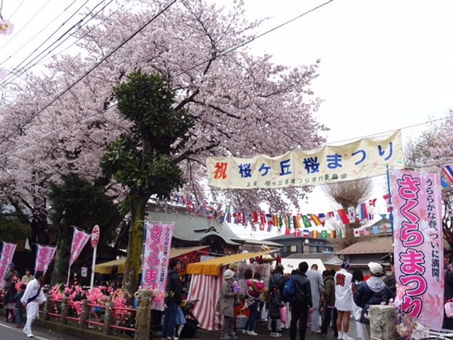 【4月2日・大和市】大道芸や稚児行列、甘酒サービスも!「第45回桜ヶ丘桜まつり」開催@小田急桜ヶ丘駅東口ロータリー・金毘羅神社