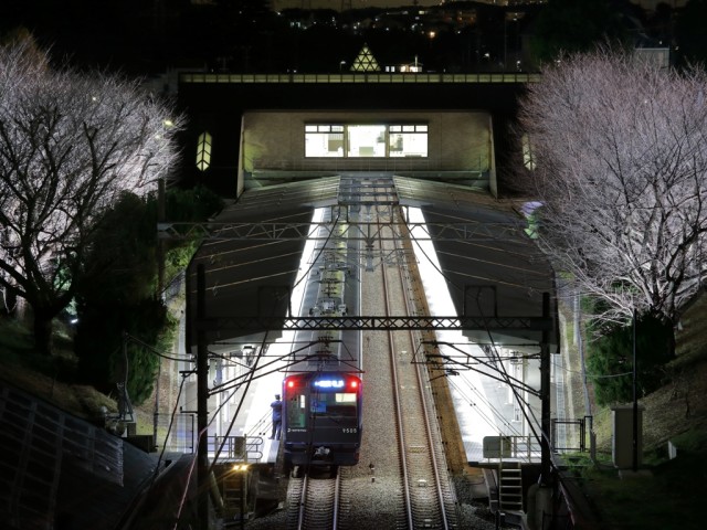 相鉄いずみ野線「弥生台駅」で“春待ちライトアップ” ペアディナー券プレゼントも!