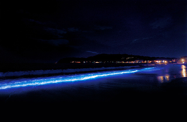 逗子海岸に現れる、波が織りなす光のアート「NIGHT WAVE 光の波プロジェクト in ZUSHI」10月7日～9日