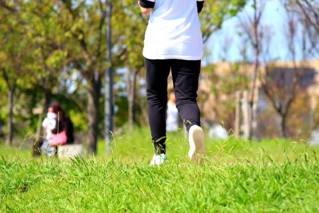 健康ウォーキング「新戸トンネルから初秋の相模川探訪へ」