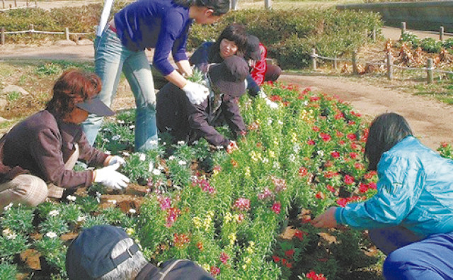 神奈川県公園協会が地域の団体に花苗配布【4月14日必着申込(配布場所／保土ヶ谷公園・辻堂海浜公園・相模原公園・秦野戸川公園)】