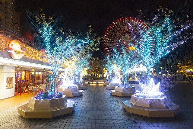 2月いっぱい夜中12時まで光輝くクイーンズパークイルミ 神奈川 東京多摩のご近所情報 レアリア