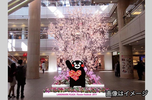ランドマークプラザで毎週土日、春のお花プレゼント!「くまもと WEEK」でくまモンステージや物産展も!