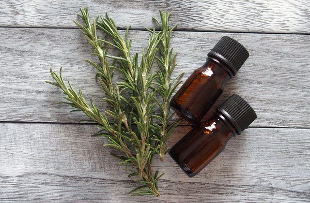 かながわ労働プラザのイチオシ3講座 歴史・アロマ・体幹トレ