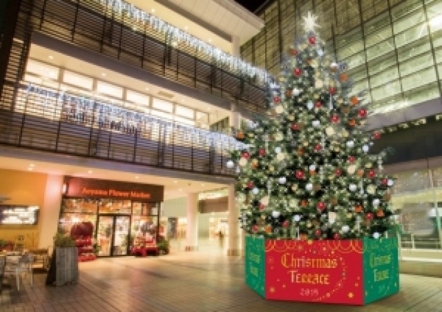 今年は「音と光の魔法」で特別演出！たまプラーザテラスのクリスマスツリー