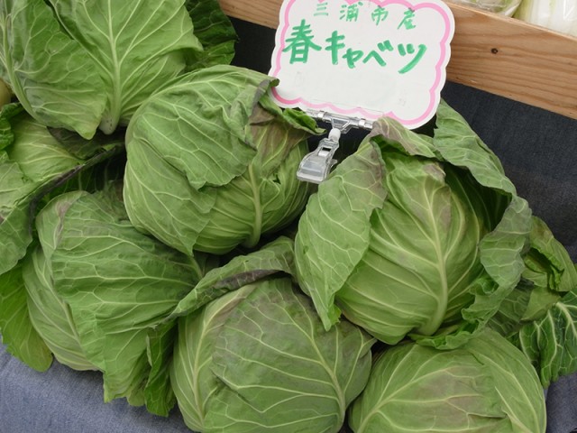 たまプラーザ『テラスマルシェ』で親子野菜教室~レタス苗もプレゼント~