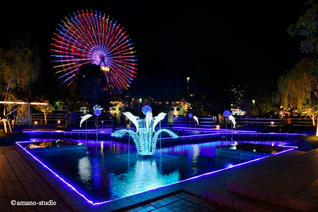 イルカがお出迎え ２月まで楽しめる「クイーンズスクエア横浜」のイルミネーション