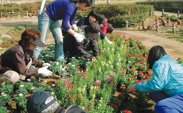 保土ヶ谷公園で花苗を無料配布！神奈川県公園協会が地域で植栽する団体に県内4公園で【10月13日締切】