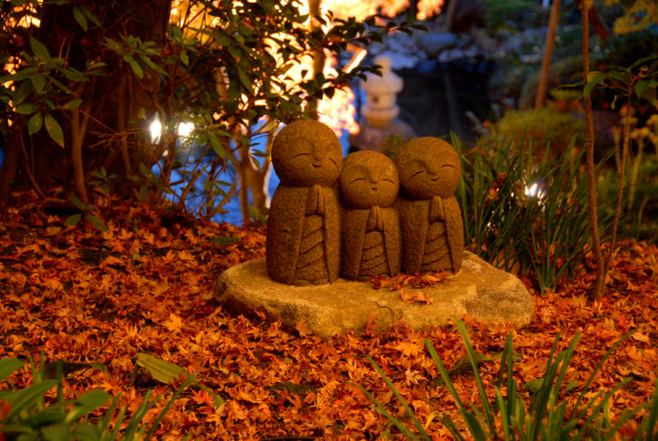 長谷寺で「秋の夜間特別拝観」11月23日(金)～12月9日(日)