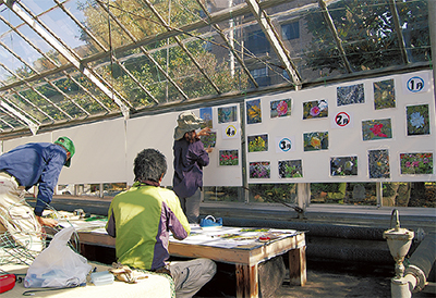 川崎緑化センターで「秋の緑化フェア」秋植え球根無料配布も！