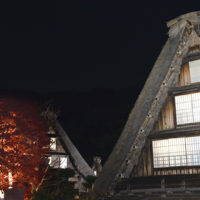 生田緑地で紅葉を満喫「夜の民家園」では紅葉と古民家をライトアップ【川崎市多摩区】