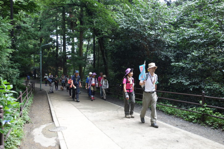 高尾山で春の散策　木下沢梅林など巡るハイキングツアー　