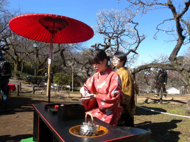 大倉山公園梅林で春を告げる「第31回大倉山観梅会」梅酒の新酒試飲や模擬店も 大倉山公園梅林で春を告げる「第31回大倉山観梅会」梅酒の新酒試飲や模擬店も