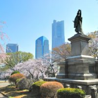 横浜開港の歴史に思い馳せる桜名所「掃部山（かもんやま）公園」3月30日は甘酒ふるまいも