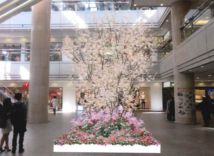 横浜ランドマークタワーで スプリングフェスティバル 開催中 桜のフォトスポットも 神奈川 東京多摩のご近所情報 レアリア