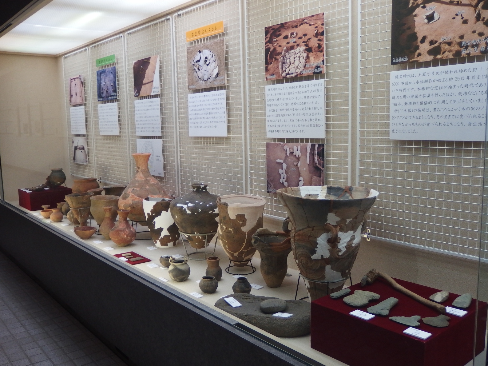 秦野の変遷たどる 桜土手古墳展示館で「ちょっと前から遥か昔のくらし」展 レアリア