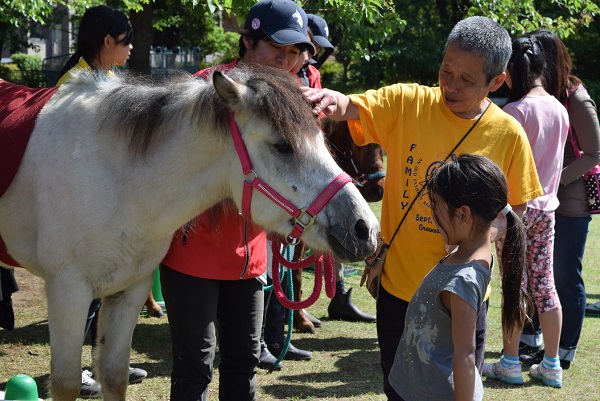 横浜で「馬とあそぼうこどもの日」CKB横山剣ミニライブも＠馬の博物館【入館無料】