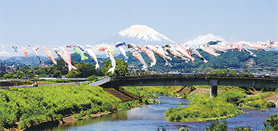 富士山や箱根連山背景に300匹が泳ぐ「第12回鈴川鯉のぼりまつり」