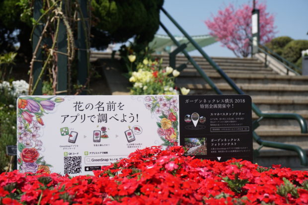 花に囲まれるガーデンベアが可愛い!みなとエリアで楽しむ「ガーデンネックレス横浜2018」 花に囲まれるガーデンベアが可愛い!みなとエリアで楽しむ「ガーデンネックレス横浜2018」