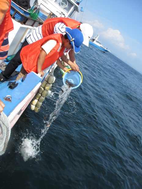 三崎の海で体験やグルメを堪能「みうら・みさき海の駅フェスタ2018」 三崎の海で体験やグルメを堪能「みうら・みさき海の駅フェスタ2018」