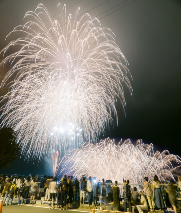 21年も開催中止 第39回 丹沢湖花火大会 約2 000発 神奈川 東京多摩のご近所情報 レアリア