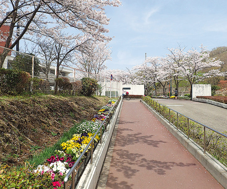 都立多摩桜の丘学園で「夏まつり」7月5日には学校公開も