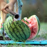 茅ヶ崎・里山公園で「夏まつり」スイカ割りや手持ち花火大会も！