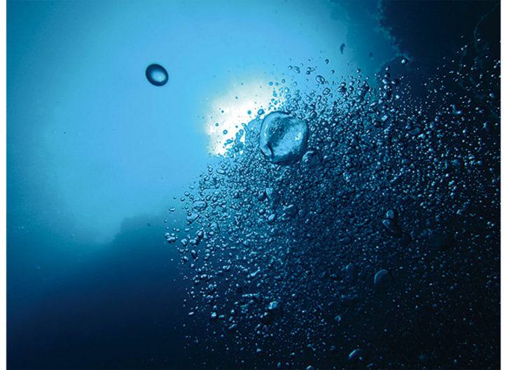 ネイチャーフォトグラファーSHIMAさん写真展@ヌマート