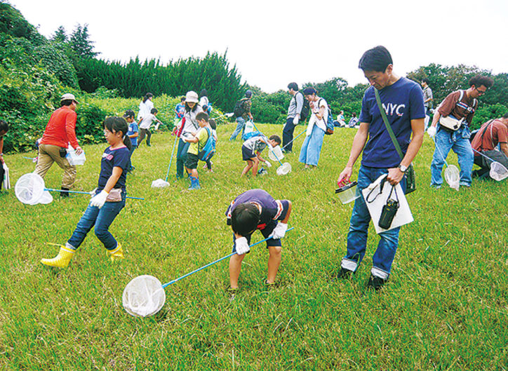 たかつ生きもの探検隊【各回定員20人・8月31日申込締切】