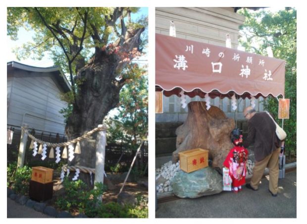 家族そろって溝口神社で子どもの成長を祝う七五三【川崎市高津区】 家族そろって溝口神社で子どもの成長を祝う七五三【川崎市高津区】