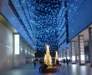 みなとみらい~横浜駅がイルミでつながる「ヨコハマミライト」横浜市内最大級・全長約1.5㎞ みなとみらい~横浜駅がイルミでつながる「ヨコハマミライト」横浜市内最大級・全長約1.5㎞