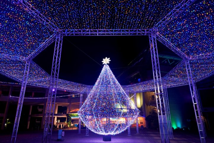 横浜・八景島シーパラダイス『Mystical Island 2018』空中に浮かぶ光のツリーにクリスマス花火も