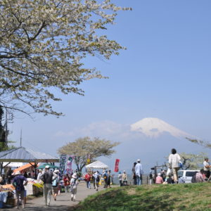 【2023年開催】大野山の山開きは毎年4月29日　山菜や農産物などの販売あり！