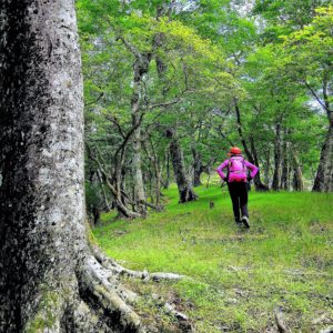 ＜2023年開催＞山北町・西丹沢の山開きは5月21日！西丹沢ビジターセンター前で記念品プレゼントも