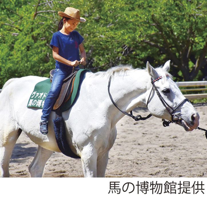 馬づくしの5日間「ホースメッセ」体験乗馬やショーも＠横浜赤レンガ倉庫・ワールドポーターズ
