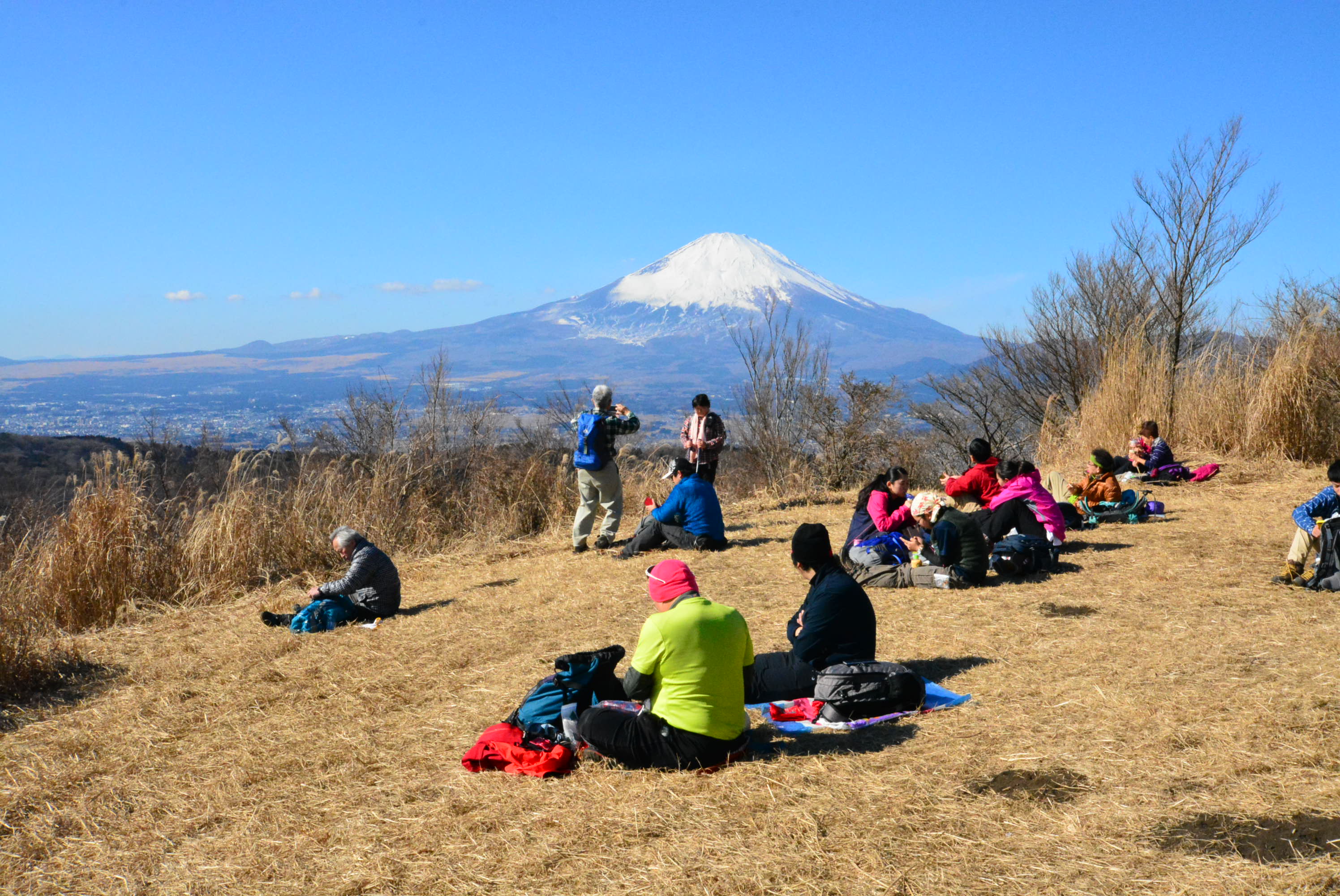 登山レポ 矢倉岳は世界最速で隆起した山 箱根ジオガイドさんと巡る 地球の遺産 神奈川 東京多摩のご近所情報 レアリア