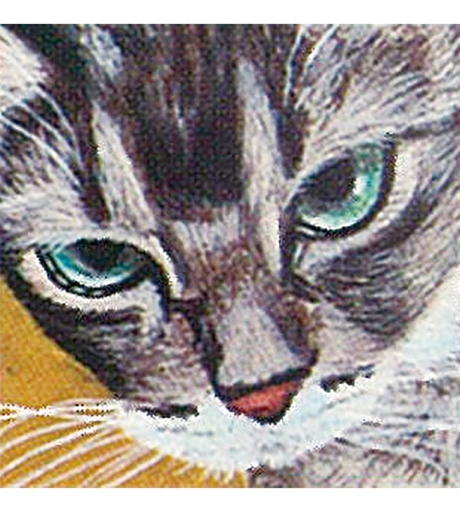 2月22日は猫の日！「第８回大磯ねこ・ネコ展」