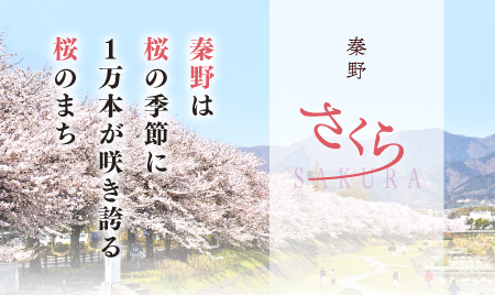 秦野(はだの)の桜を見に行こう - 神奈川の桜穴場スポット 秦野さくら2023