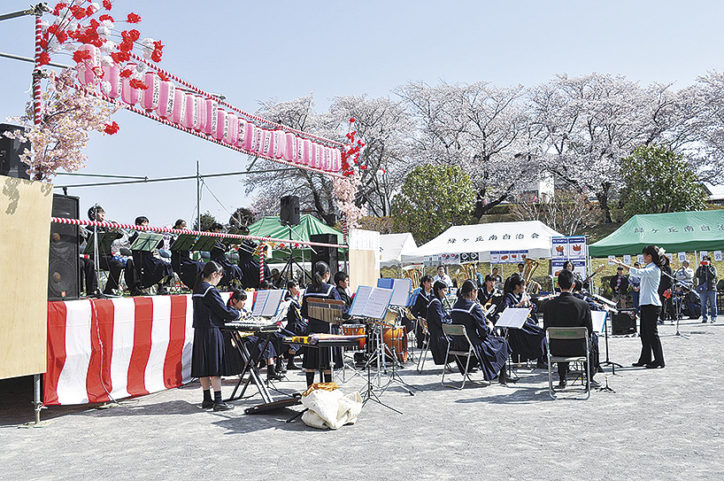「かにが沢桜祭り」2019年は4月6日に開催！