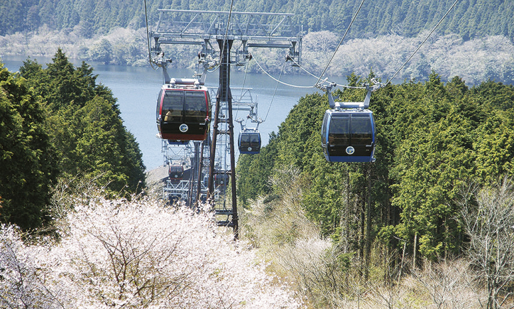 参加無料！箱根ロープウェイで空中散歩に桜植樹＆寄木細工体験も