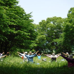 【さくらの湯無料券付き】森林ヨガや洒水の滝めぐり！山北町で森林セラピー体験ツアー