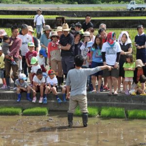 ＜お米発送付き＞親子で「はるみ」本格田植え体験！山北町・谷峨に田んぼカフェも登場