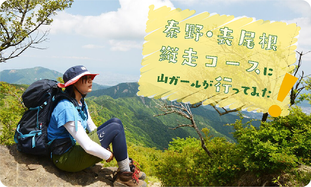 表尾根縦走コース 表尾根縦走コース