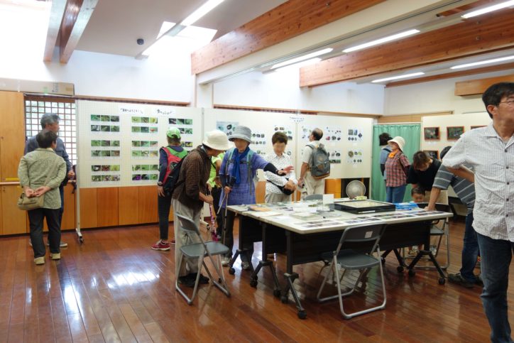 昆虫の面白い生態を知る「谷戸山いきもの展」参加費無料！＠座間谷戸山公園