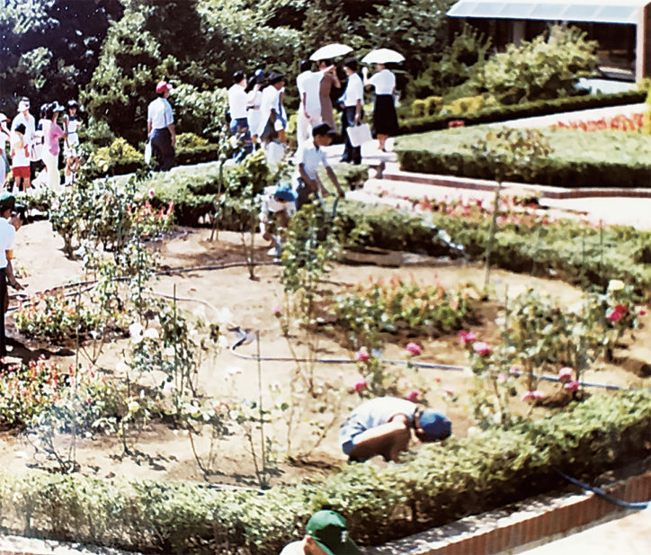 横浜市内唯一の植物園「こども植物園」が開園40周年！1千種の草花､14万人来場。写真展も